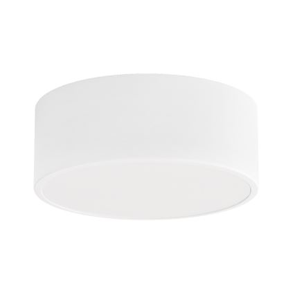 Brilagi - Stropna svjetiljka za kupaonicu CLARE 1xE27/24W/230V pr. 20 cm IP54 bijela
