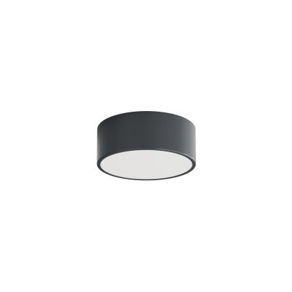 Brilagi - Kupaonsko stropno svjetlo CLARE 1xE27/24W/230V Ø 20 cm antracit IP54