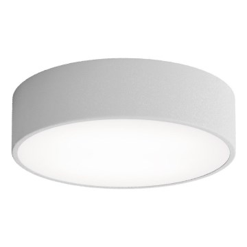 Brilagi - Stropna svjetiljka za kupaonicu CLARE 2xE27/24W/230V pr. 30 cm IP54 siva