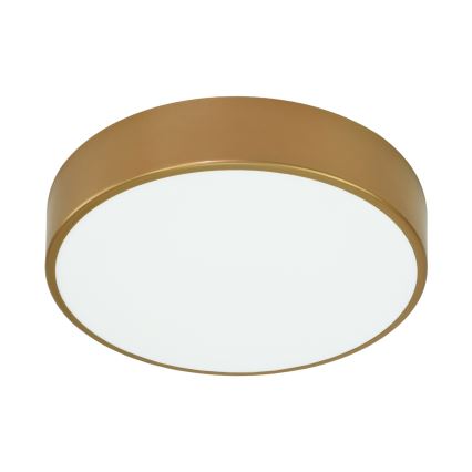 Brilagi - Stropna svjetiljka za kupaonicu CLARE 3xE27/24W/230V pr. 40 cm IP54 zlatna