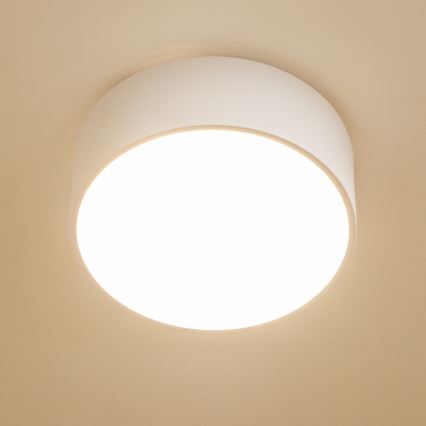 Brilagi - Stropna svjetiljka za kupaonicu POOL 2xE27/15W/230V Ø 30 cm IP54 bijela