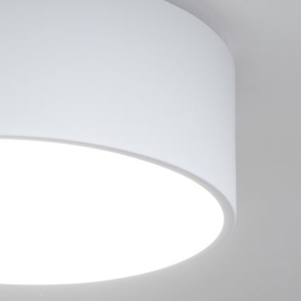 Brilagi - Stropna svjetiljka za kupaonicu POOL 2xE27/15W/230V Ø 30 cm IP54 bijela