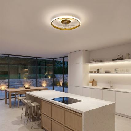 Brilagi - LED prigušiv stropni ventilator LED/66W/230V 3000-6500K Ø 55 cm bijela/zlatna + daljinski upravljač