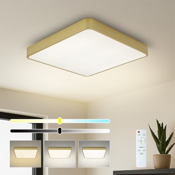 Brilagi - Stropno LED svjetlo s prigušivanjem POOL SQUARE LED/36W/230V 3000-6000K 40x40 cm zlatno + daljinski upravljač