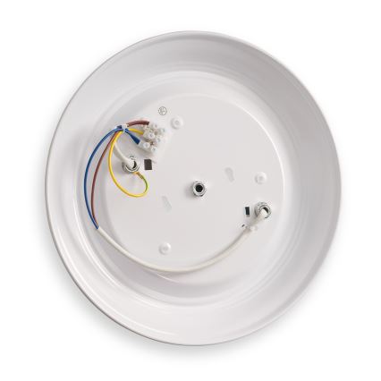 BRILAGI - Stropno svjetlo FRESCO 2xE27/40W/230V, promjer 28 cm, bijelo