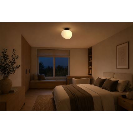 BRILAGI - Stropno svjetlo PEBBLES 1xE27/40W/230V Ø 20 cm crna