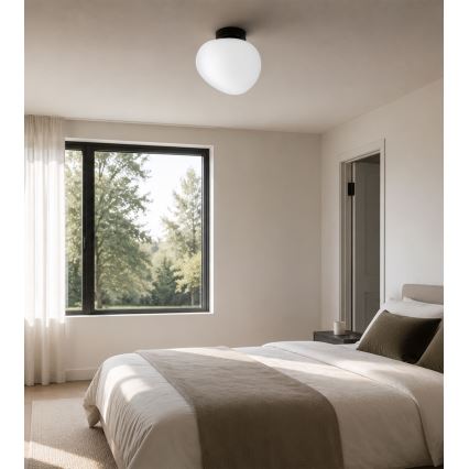 BRILAGI - Stropno svjetlo PEBBLES 1xE27/40W/230V Ø 20 cm crna