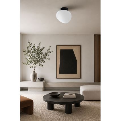 BRILAGI - Stropno svjetlo PEBBLES 1xE27/40W/230V Ø 20 cm crna