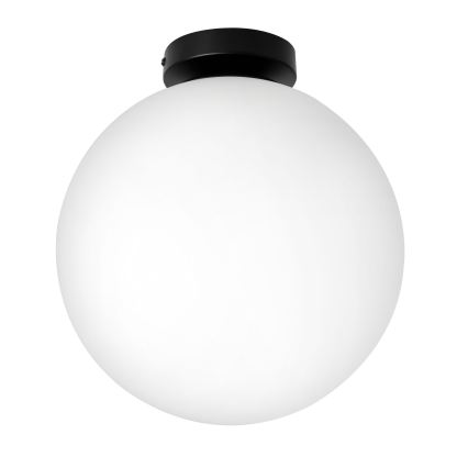 BRILAGI - Stropno svjetlo POLOS 1xE27/40W/230V Ø 30 cm crna
