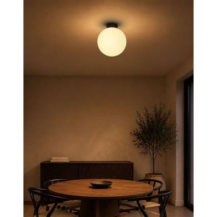 BRILAGI - Stropno svjetlo POLOS 1xE27/40W/230V Ø 30 cm crna
