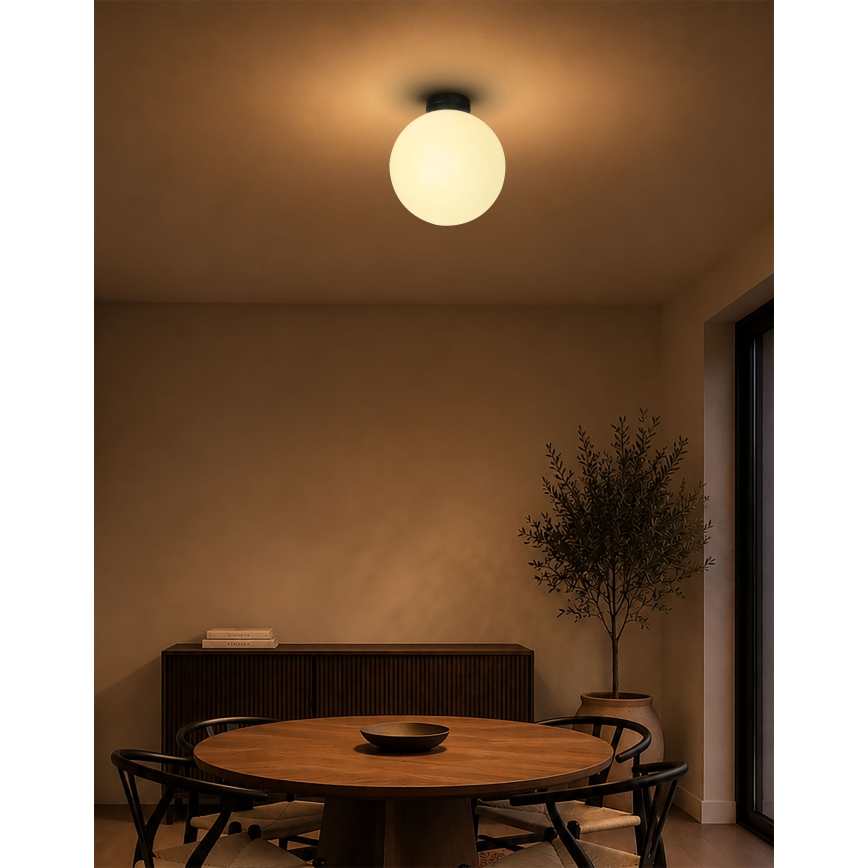 BRILAGI - Stropno svjetlo POLOS 1xE27/40W/230V Ø 30 cm crna