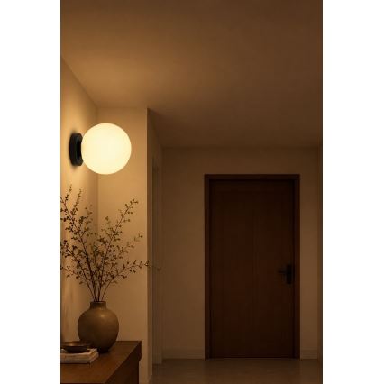 BRILAGI - Stropno svjetlo POLOS 1xE27/40W/230V Ø 30 cm crna