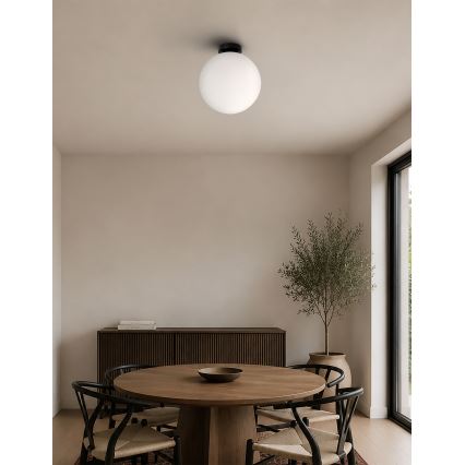 BRILAGI - Stropno svjetlo POLOS 1xE27/40W/230V Ø 30 cm crna