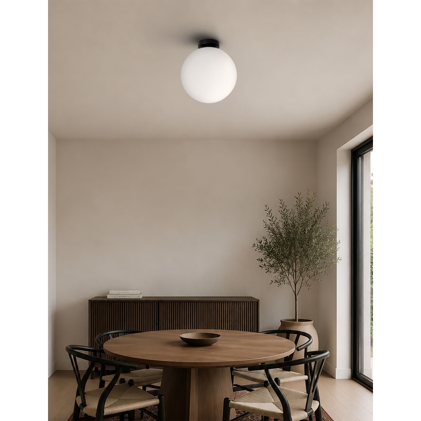 BRILAGI - Stropno svjetlo POLOS 1xE27/40W/230V Ø 30 cm crna