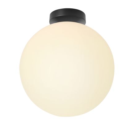 BRILAGI - Stropno svjetlo POLOS 1xE27/40W/230V Ø 30 cm crna