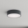 Brilagi - Stropno svjetlo za kupaonicu CLARE 2xE27/24W/230V promjer 30 cm antracit IP54