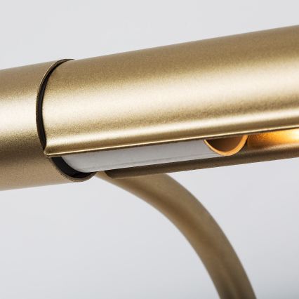 Brilagi - Svjetiljka za slike DANAE 2xE14/40W/230V zlatna