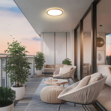 Brilagi - LED stropno svjetlo za kupaonicu ULTRA TANKO LED/12W/230V Ø 22,5 cm ružičasto zlato IP54