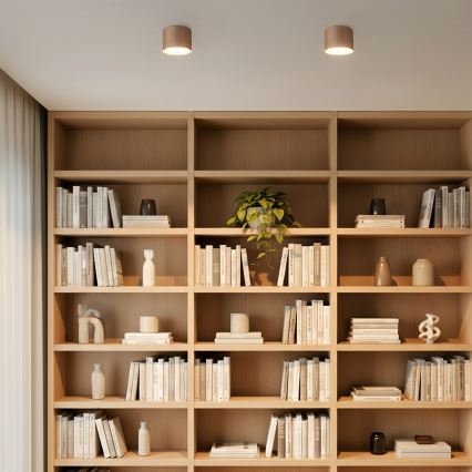 Brilagi - Usmjerno svjetlo STRIPY 1xGX53/15W/230V bež