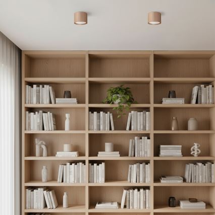 Brilagi - Usmjerno svjetlo STRIPY 1xGX53/15W/230V bež