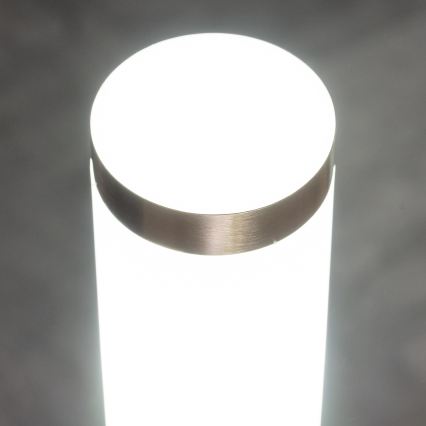 BRILAGI - Vanjska svjetiljka ELIA 1xE27/20W/230V IP44 100 cm matni krom