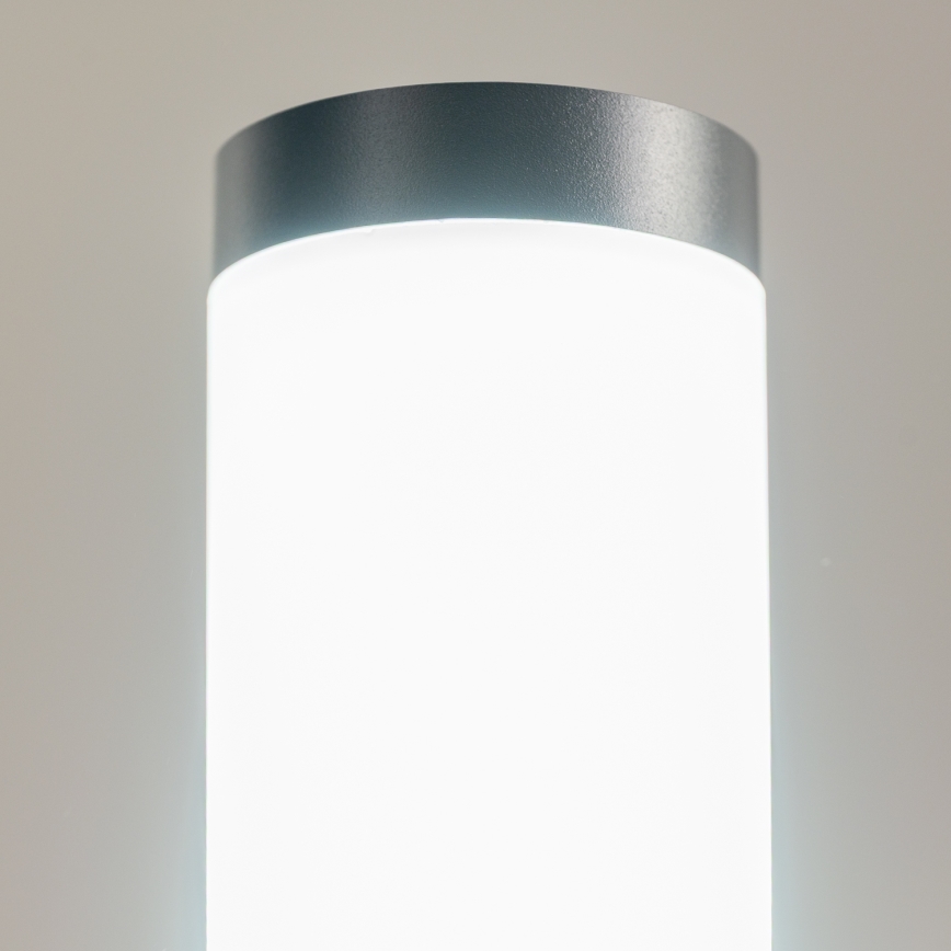 BRILAGI - Vanjska svjetiljka s utičnicom ELIA 1xE27/20W/230V IP44 50 cm antracit