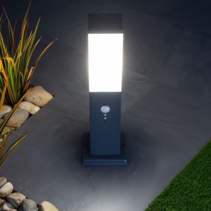 Brilagi - Vanjska svjetiljka sa senzorom NOVA 1xE27/15W/230V 40 cm IP44 antracit