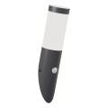 Brilagi - Vanjska zidna lampa ELIA sa senzorom pokreta, 1xE27/20W/230V, IP44, antracitna