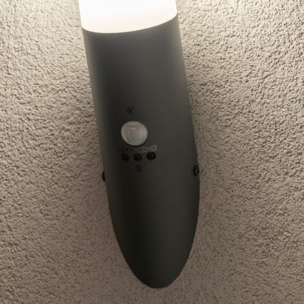 BRILAGI - Vanjska zidna lampa ELIA sa senzorom pokreta, 1xE27/20W/230V, IP44, antracitna