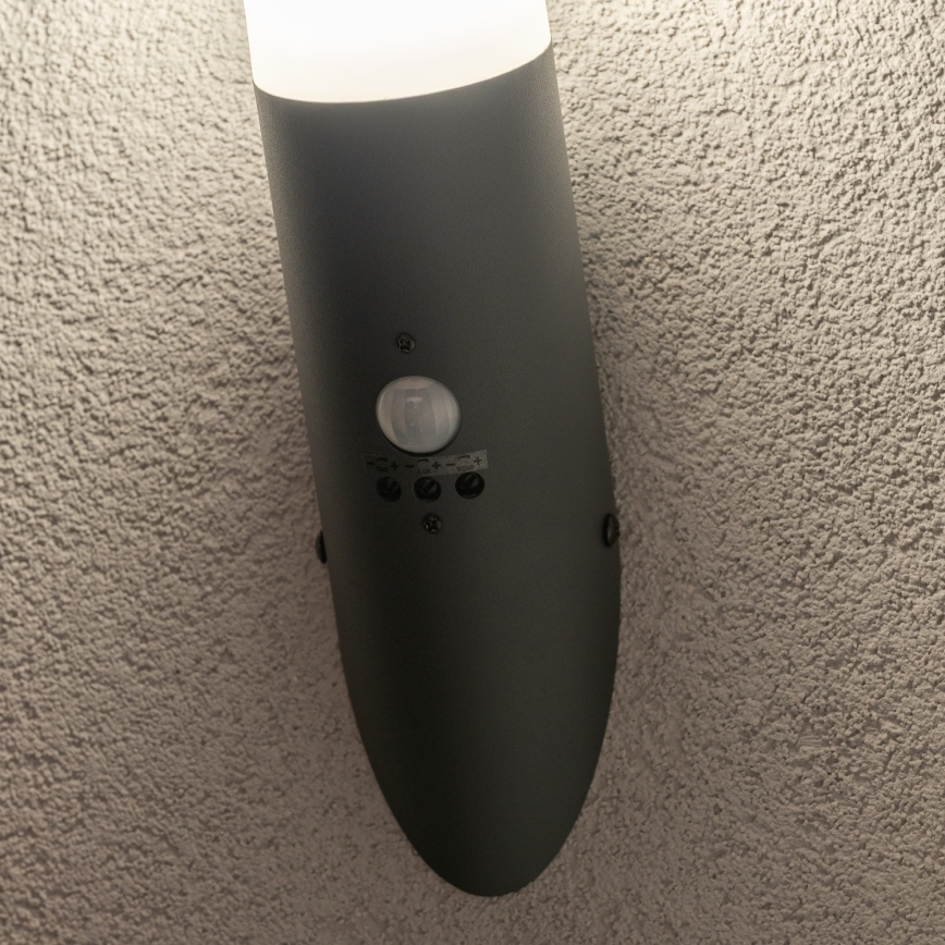 BRILAGI - Vanjska zidna lampa ELIA sa senzorom pokreta, 1xE27/20W/230V, IP44, antracitna