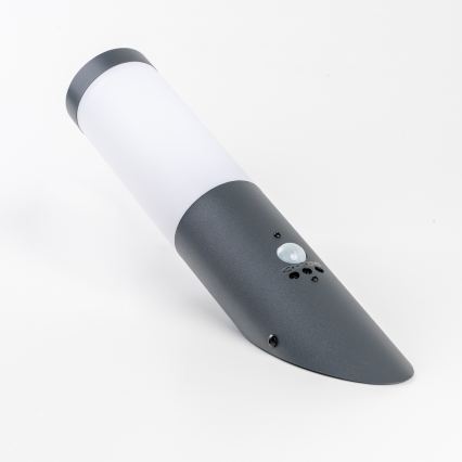 BRILAGI - Vanjska zidna lampa ELIA sa senzorom pokreta, 1xE27/20W/230V, IP44, antracitna