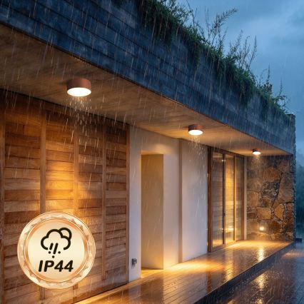 BRILAGI - Vanjsko stropno svjetlo FORIS LED/20W/230V promjer 15 cm brončano IP44