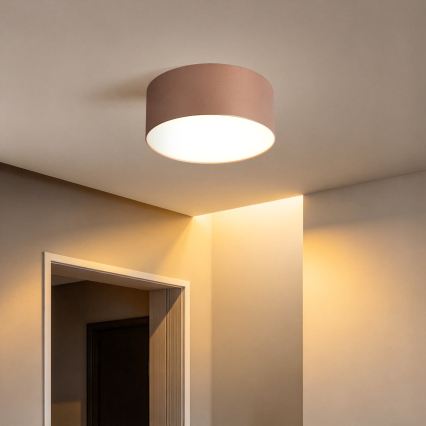 BRILAGI - Vanjsko stropno svjetlo FORIS LED/20W/230V promjer 15 cm brončano IP44