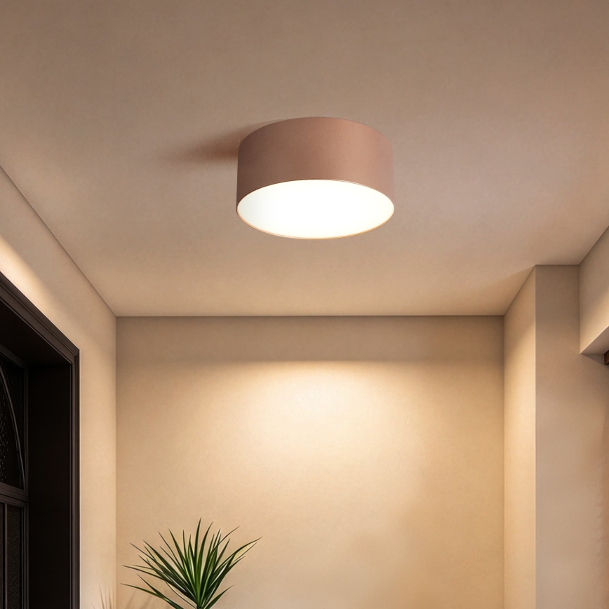 BRILAGI - Vanjsko stropno svjetlo FORIS LED/20W/230V promjer 15 cm brončano IP44