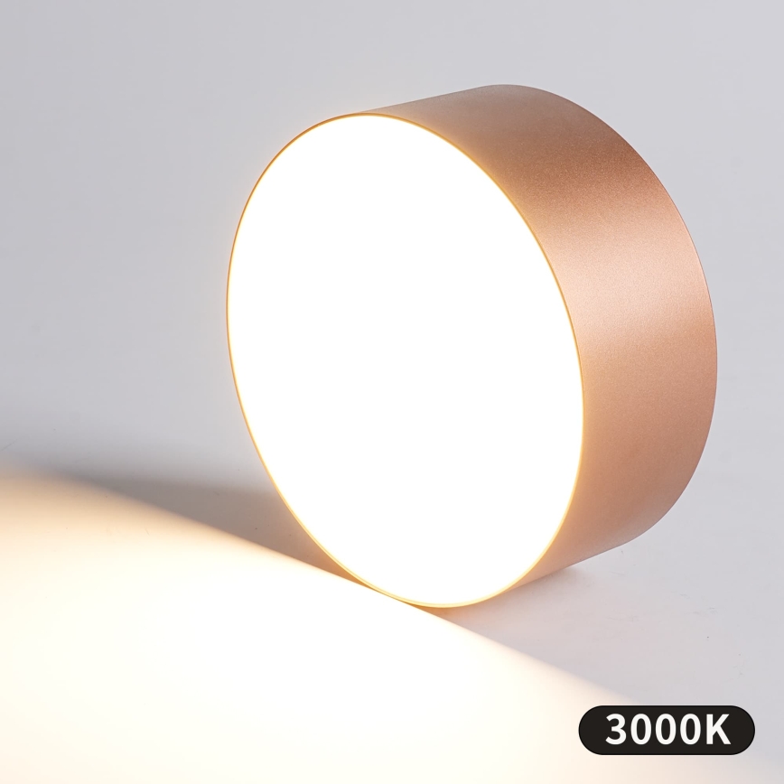 BRILAGI - Vanjsko stropno svjetlo FORIS LED/20W/230V promjer 15 cm brončano IP44