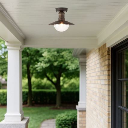 Brilagi - Vanjsko stropno svjetlo MOLDE 1xE27/60W IP44 brončana/patina