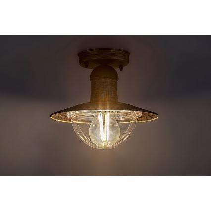Brilagi - Vanjsko stropno svjetlo MOLDE 1xE27/60W IP44 brončana/patina