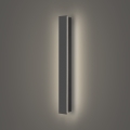 Brilagi - Vanjsko zidno svjetlo LINEAR LED/12W/230V 4000K IP65 50 cm antracit