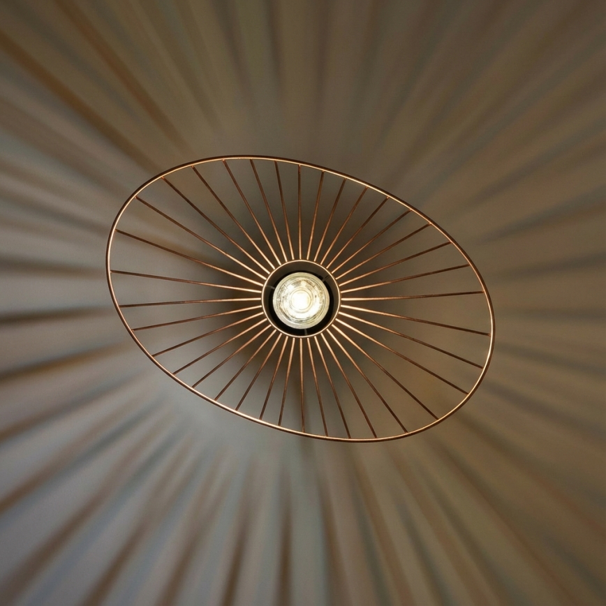 Brilagi - Viseći LED luster na sajli CERIA WIRE 1xE27/40W/230V 40x56 cm, brončani