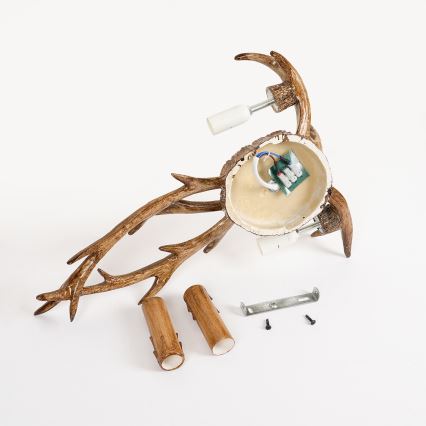 Brilagi - Zidno svjetlo DEER 2xE14/10W/230V rogovlje