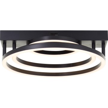 Brilliant - LED Dimmabilno stropno svjetlo PEDLEY LED/36W/230V crno