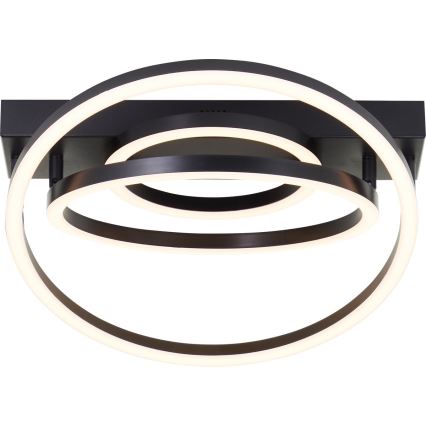 Brilliant - LED Dimmable stropna svjetiljka PEDLEY LED/36W/230V crna