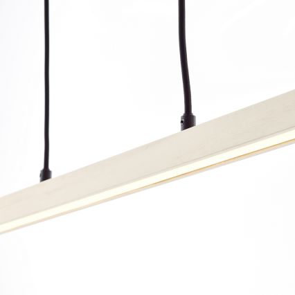 Brilliant - LED luster na sajli ARION LED/22W/230V borovina
