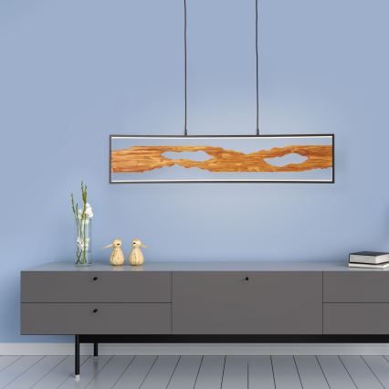Brilliant - LED Luster na sajli CHAUMONT LED/20W/230V bor - FSC certificirano