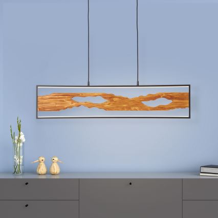 Brilliant - LED Luster na sajli CHAUMONT LED/20W/230V bor