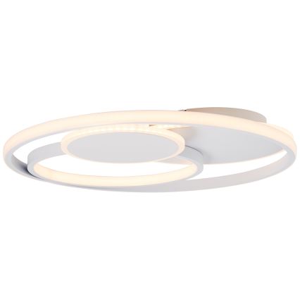 Brilliant - LED Prigušiva stropna svjetiljka RUNDA LED/50W/230V 3000-6500K bijela + daljinski upravljač