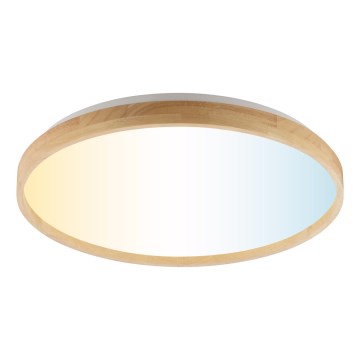 Brilliant - LED prigušiva stropna svjetiljka ALSON LED/21W/230V 3000-6500K Ø 49,5 cm kaučukovina + daljinski upravljač