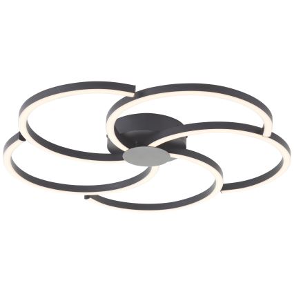 Brilliant - LED Prigušiva stropna svjetiljka FICO LED/32W/230V pr. 57 cm crna