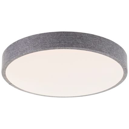 Brilliant - LED Prigušiva stropna svjetiljka FILIZ LED/24W/230V pr. 38,5 cm siva