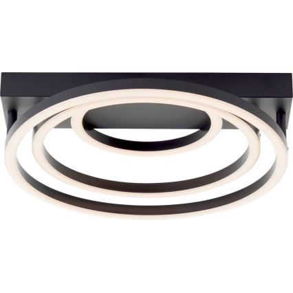 Brilliant - LED prigušiva stropna svjetiljka PEDLEY LED/36W/230V crna